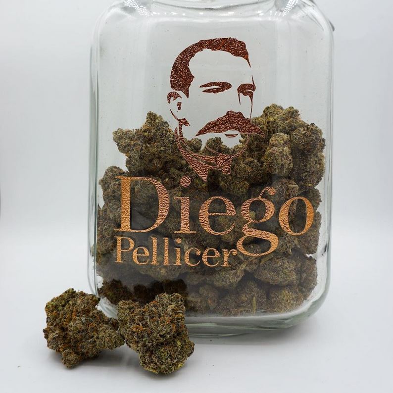 cannabis flower in display jar