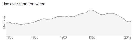 graph the popularity of the term "weed" over time