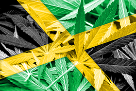 Jamaica Flag on cannabis background.
