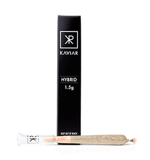 Kaviar_Box-and-Pre-roll_360x460