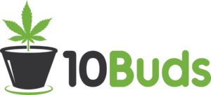 10 buds logo