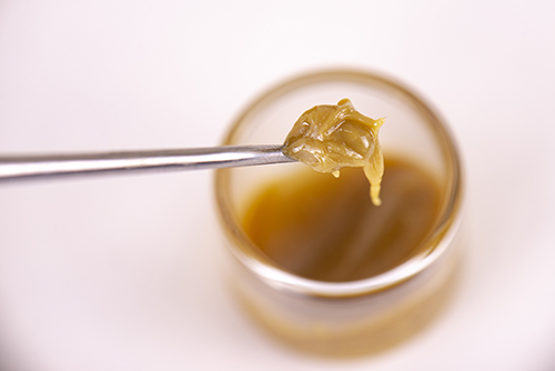Detail of cannabis concentrate extracted from the marijuana plant for medical use, isolated over white background