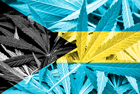 The Bahamas Flag on cannabis background
