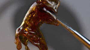 Melted cannabis oil concentrate aka shatter held on a dabbing tool over dark background