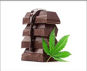 chocolate cannabis edibles