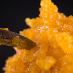 Macro detail of cannabis concentrate live resin (extracted from medical marijuana) with a dabbing tool