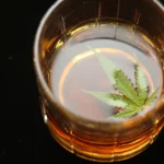 cannabis leaf in a glass of whiskey