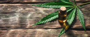 tincture and cannabis leaf on wood background