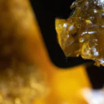 A closeup photo of cannabis concentrate in a dab rig