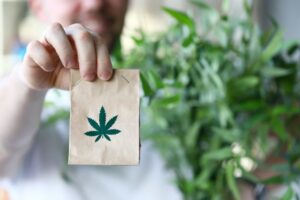 Choosing the Right Cannabis Delivery Service Provider in Denver