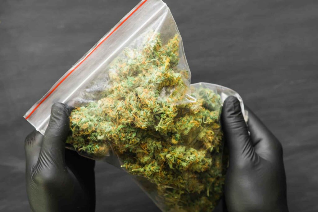 Person securely holding a bag of marijuana for cannabis delivery