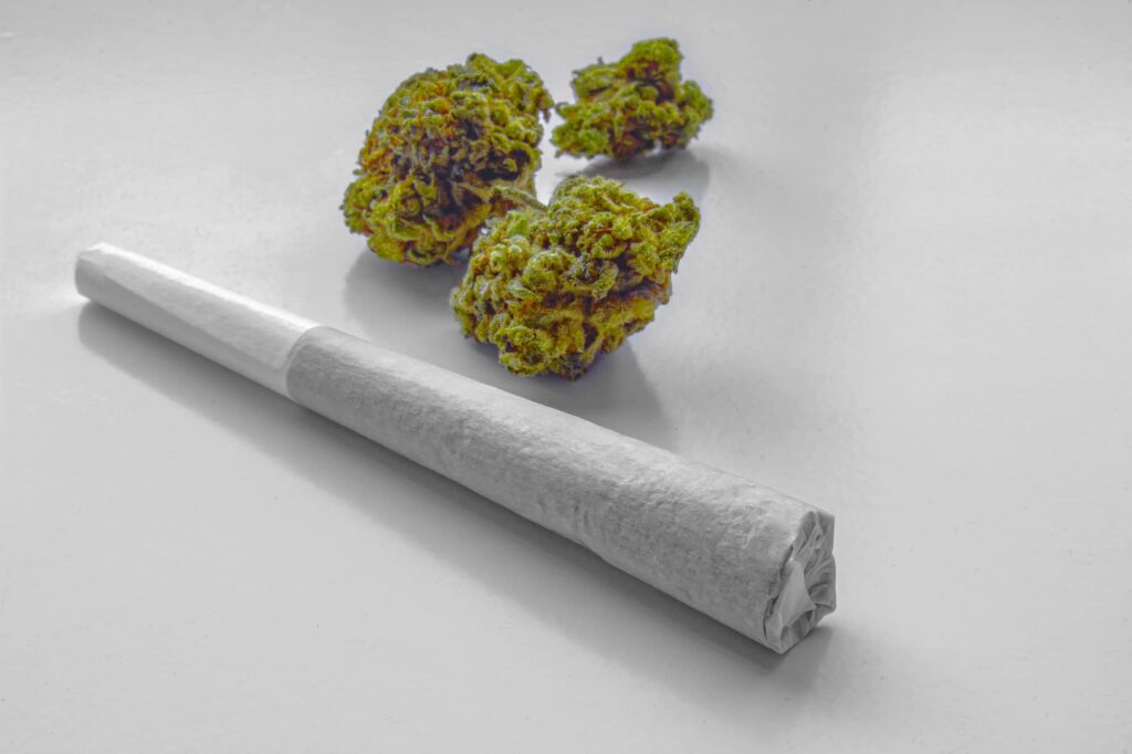 A cannabis plant and a cigarette placed on a pristine white surface for delivery