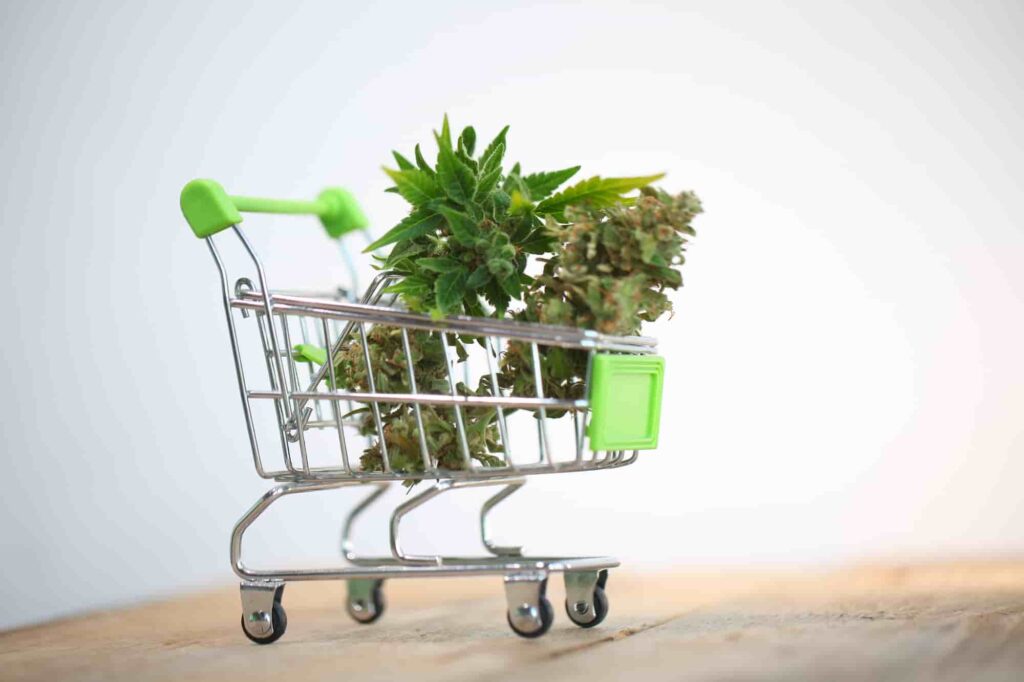 grocery cart representing cannabis delivery