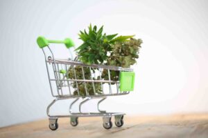 Managing Your Expectations Understanding Cannabis Delivery Timeframes
