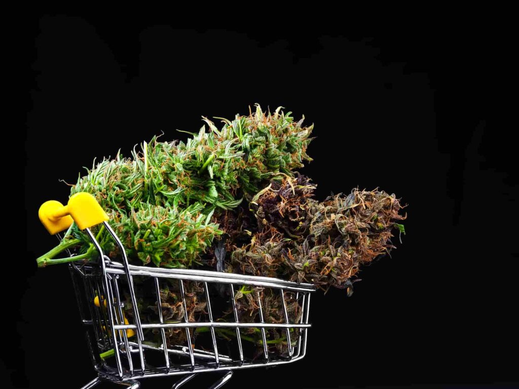 cannabis plant in a grocery cart | cannabis delivery