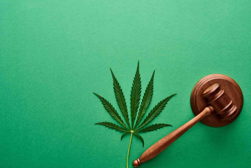 a gavel and marijuana leaf coexist | Cannabis Delivery