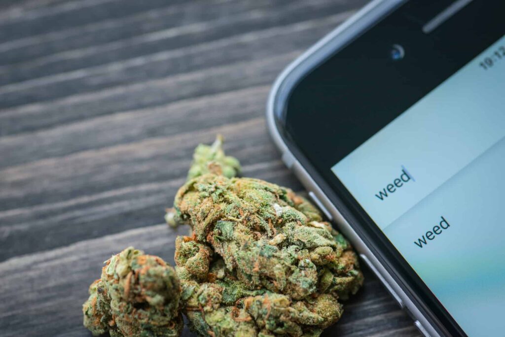 Cannabis Delivery-a phone and a bud of marijuana