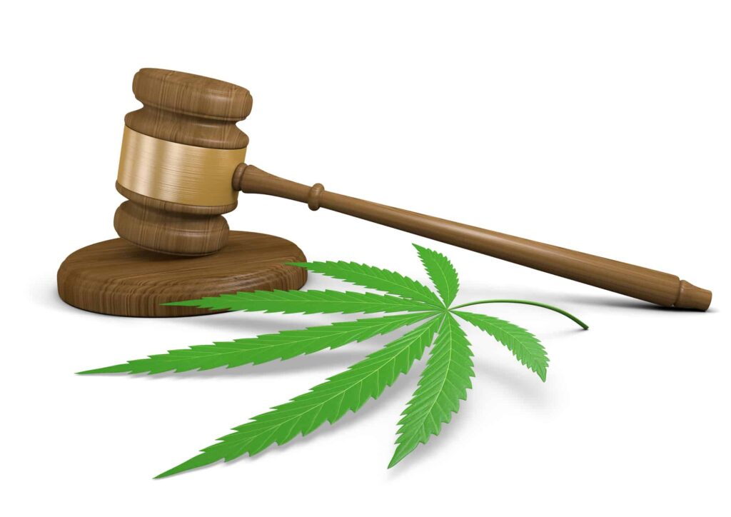 Marijuana leaf and gavel on white background | Denver Dispensary