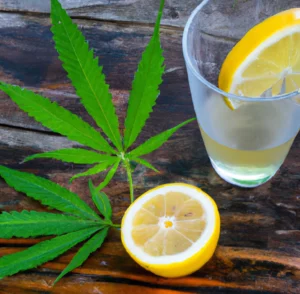 photo of lemons, marijuana leaves, and a refreshing glass of lemonade on a wooden table