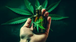 Denver dispensary: close-up of a hand holding a cannabis prescription bottle